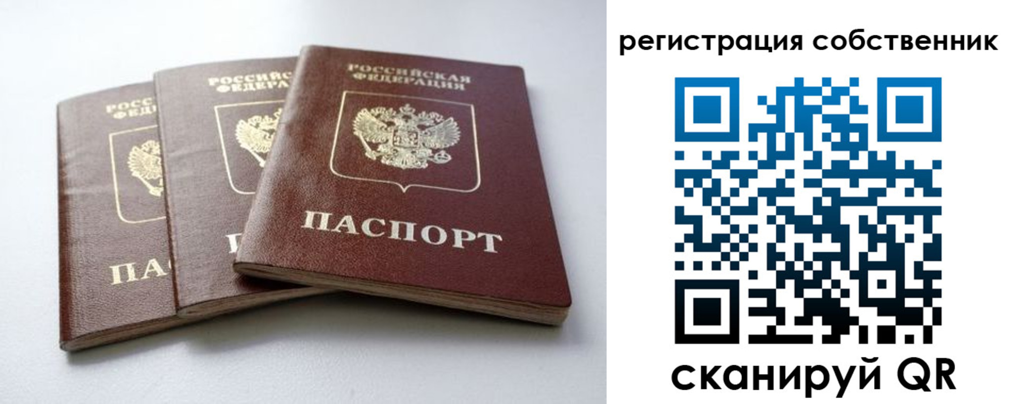 прописка для школы в Новочеркасске